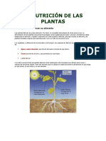 La Nutrición de Las Plantas