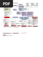 komplikasi tb paru 3 Mind Mapping Patofisiologi TB 