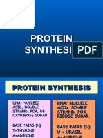 Sintesis Protein