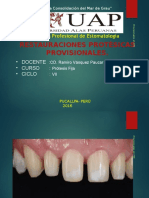 Provisional Es