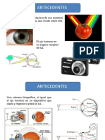 01 PRIMERA PARTE_OLGER.pdf