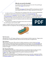 Respiration Reading