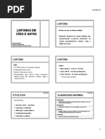 Aula GraduacÌ§aÌƒo Linfoma.pdf