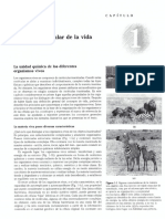 CAPITULO 01.pdf