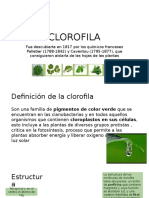 CLOROFILA