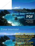 Zona Intertidal