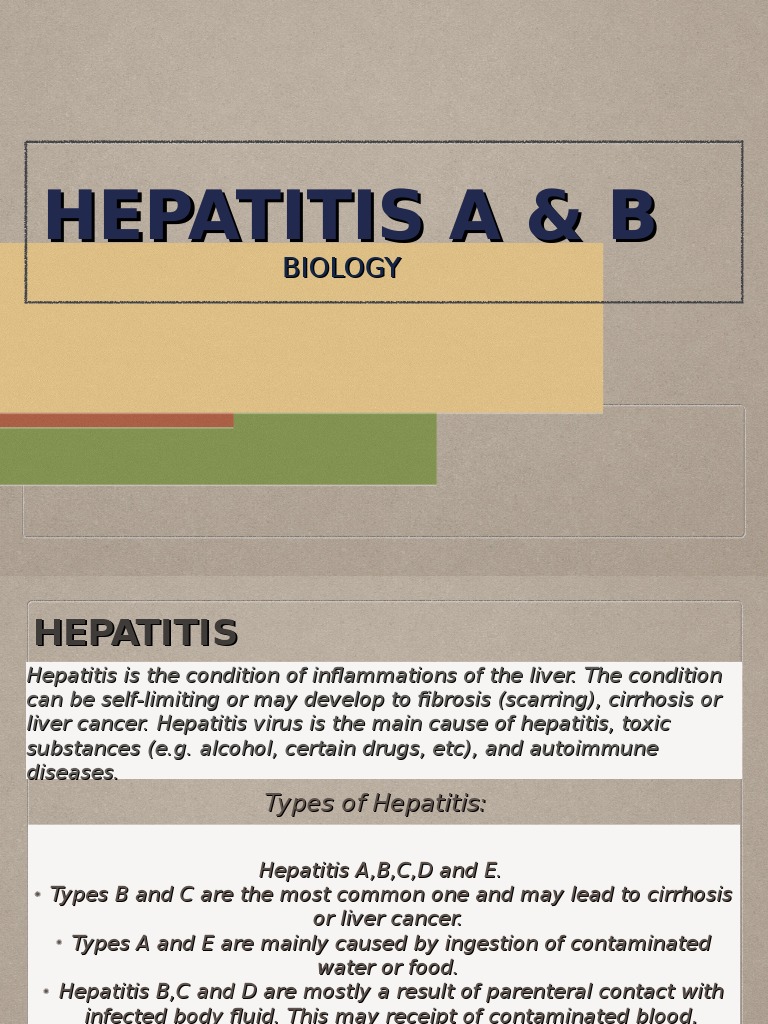 Understanding Hepatitis A & B Overview | PDF | Hepatitis B | Hepatitis