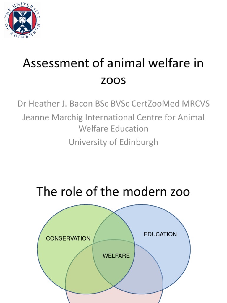 Assessment of Animal Welfare in Zoos PDF Cortisol Animal Welfare