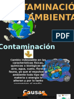 Contaminacion Ambiental 
