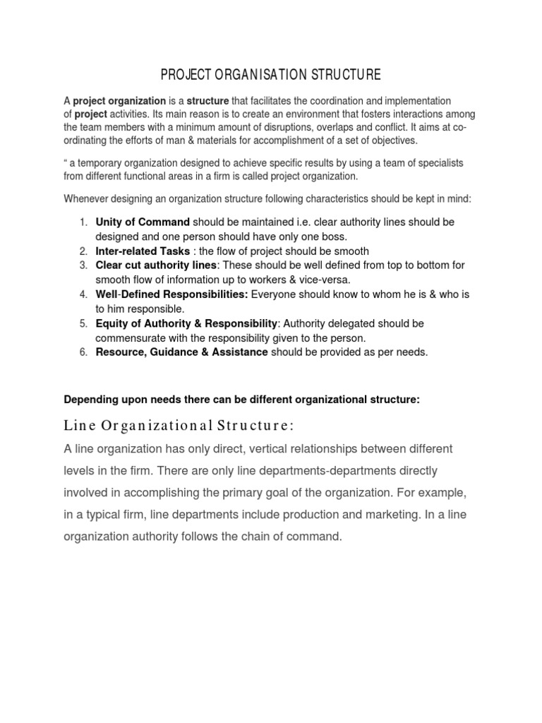 Project Organizational Structure Explained | PDF | Organizational ...