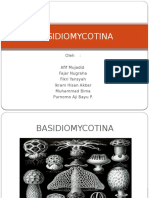 Basidiomycotina