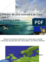 História Gaivota Ensinada Voar