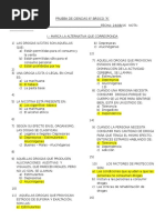 Prueba de Ciencias 6 Drogas e Higiene