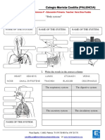 Activity 1 - body systems.pdf