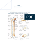 ANATOMITUNGGAIBAWAH