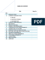 Table of Contents for Asian Motors Company Report