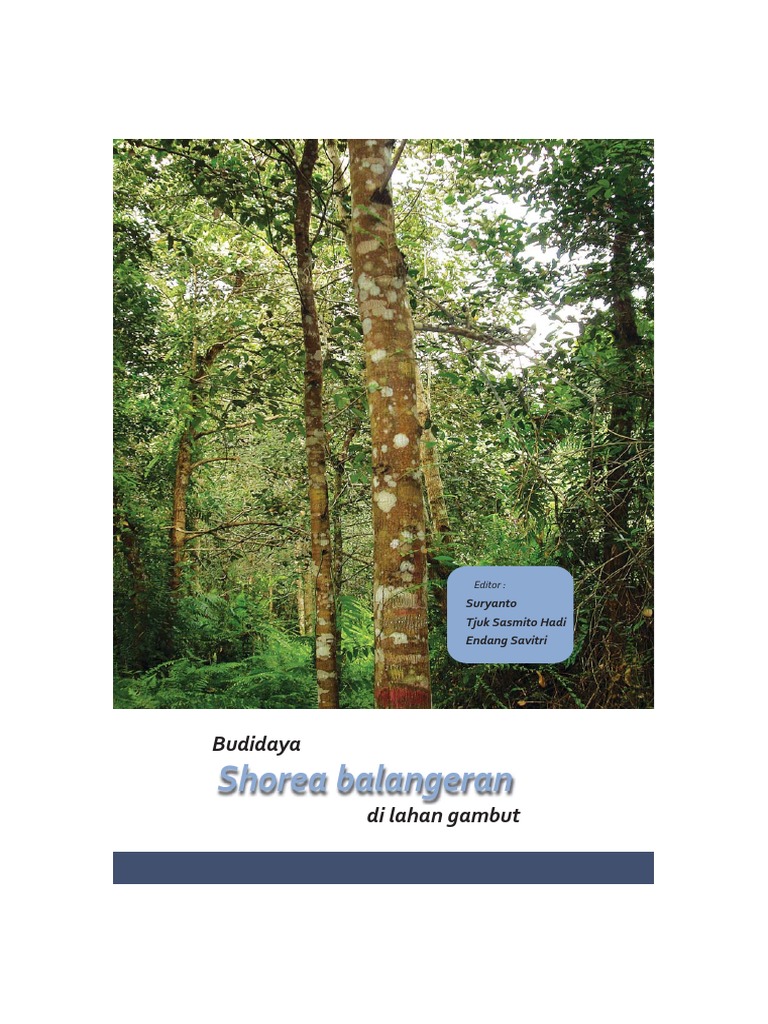 Buku BUDIDAYA Shorea Balangeran DI LAHAN GAMBUT Compres