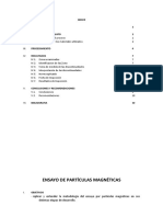 Ensayo de Particulas Magneticas PDF