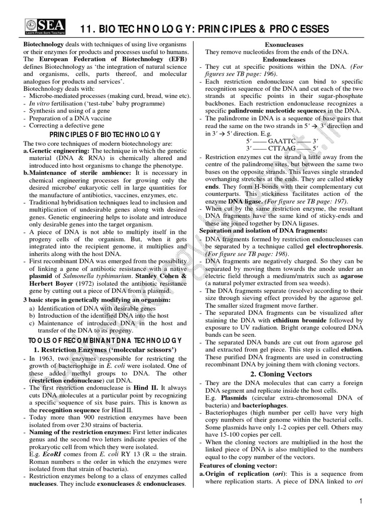 Biotechnology Principles Overview | PDF | Plasmid | Molecular Cloning