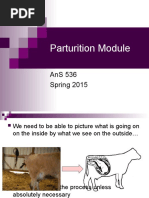 AnS536 Module 7 - Parturition