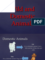 Animals Classification