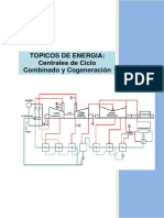 Topicos de Energia-Centrales de Ciclo y Combinado y Cogeneración
