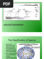 Introduction to Systematics in Biology | PDF | Taxonomy (Biology) | Species