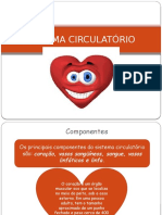 Sistema Circulatorio