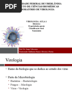 2011-1 Aula 1 - Introdução a Virologia.pptx