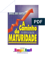 A Caminho da maturidade- Ismael dos Santos.pdf
