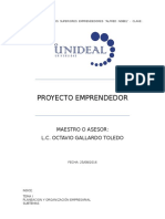 Proyecto Emprendedor.