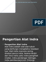 Alat Indra Manusia, Bagian-Bagian Dan Fungsinya