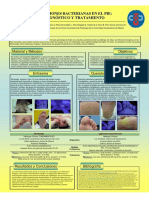 Infecciones Bacterianas en El Pie Diagnostico y Tratamiento