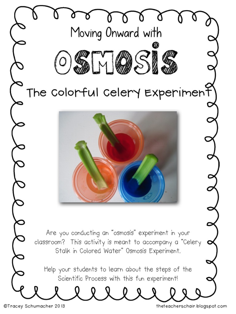 212331W74ru5Osmosis The Colorful Celery Experiment2 PDF