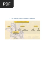 Das Sociedades Recoletoras Às Primeiras Civilizações