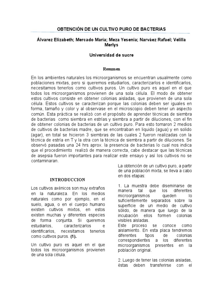 Obtencion de Un Cultivo Puro PDF Las bacterias Biología Celular)
