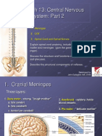 CNS Part 2: Spinal Cord Anatomy & Functions