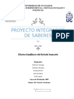 Proyecto Integrador de Saberes PIS