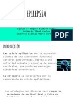 Epilepsia PDF