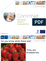 Education Phase 1 Strawberries: © Commnet 2013