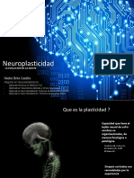 Plasticidad Neuronal