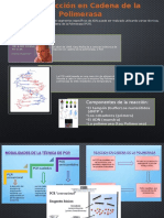 Infografia PCR