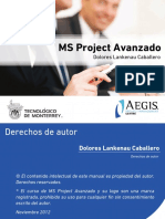 MS Project Avanzado