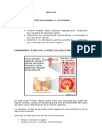 Practica Microbiología Flujo Vaginal