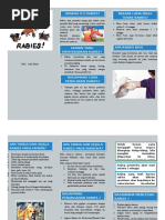 Leaflet Rabies