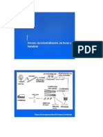 proceso de ind. de frutas y hortalizas.docx