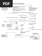 Pathway Osteoporosis