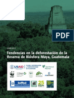 MBR Deforestation 150213 ES 2
