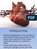 Electrocardiogram: Heartbeat On A TV Screen