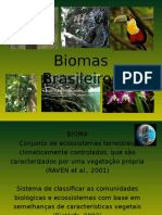 Biomas Brasileiros 